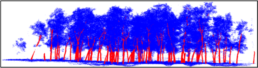 LiDAR terrestre forestier