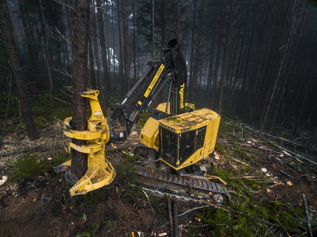 Tigercat Feller buncher LX830D
