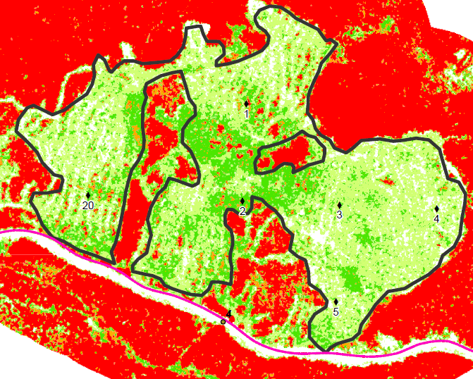 LIDAR forestier