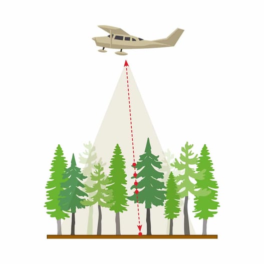 LiDAR-avion-foresterie