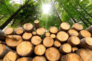 LBprofor fournit des services de grande qualité afin que sa clientèle réalise ses objectifs en gestion des opérations et aménagement forestier.