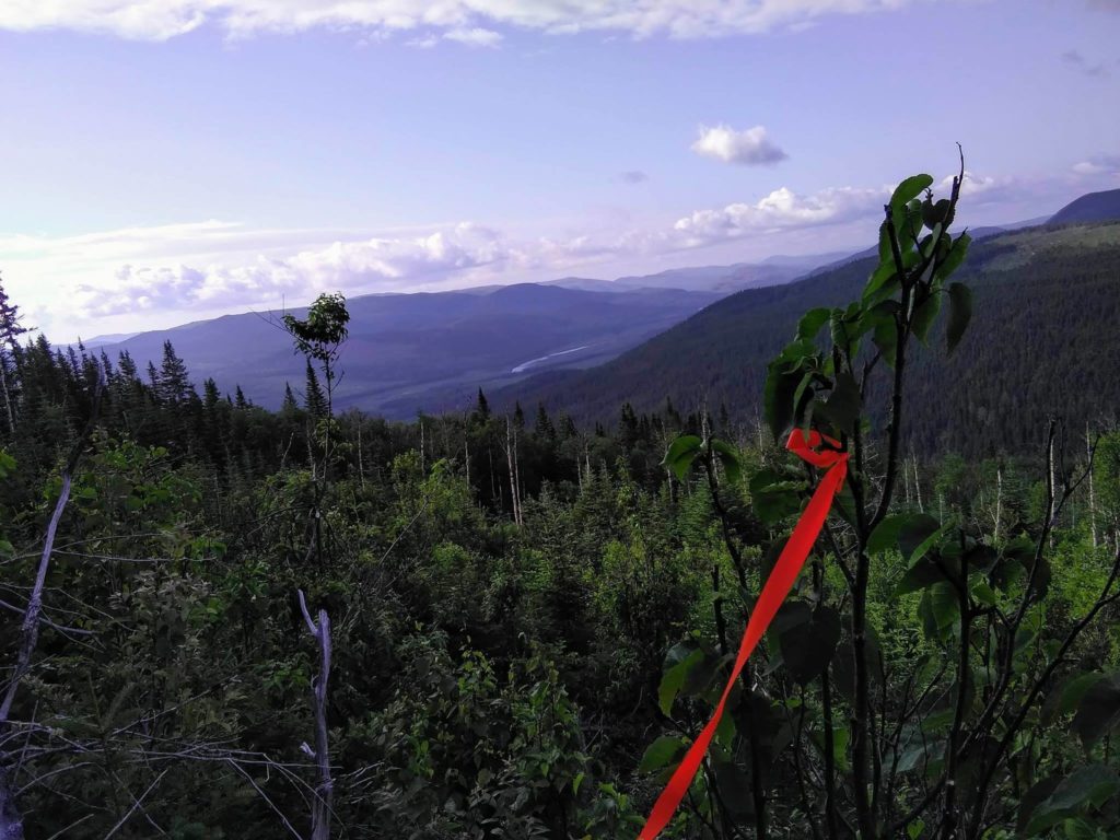 Inventaire forestier Charlevoix