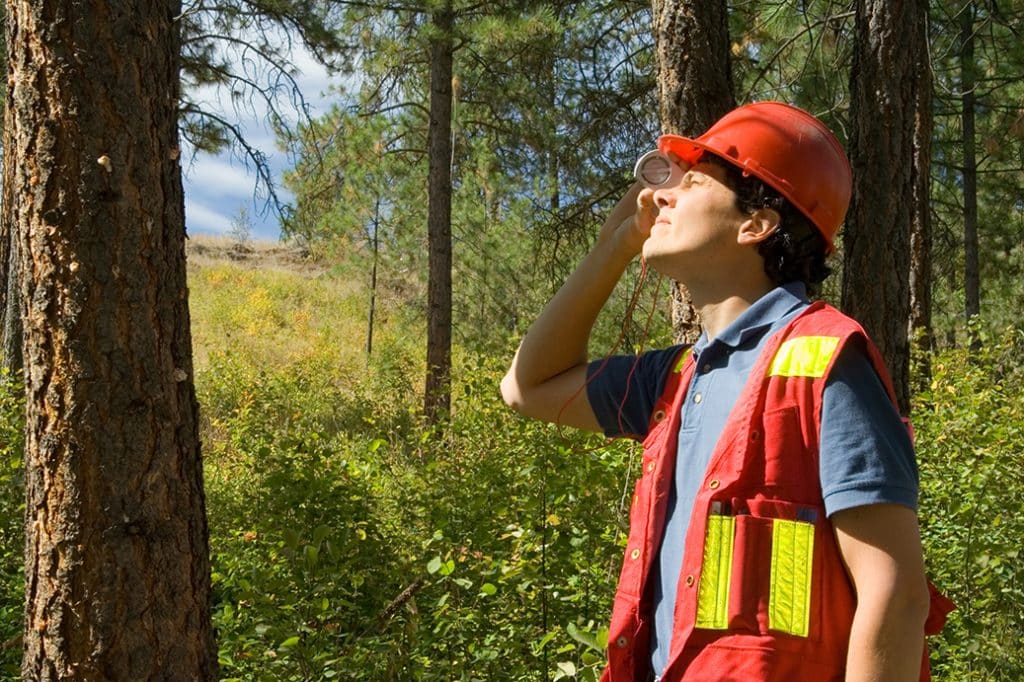 Le rôle du technicien forestier LBprofor