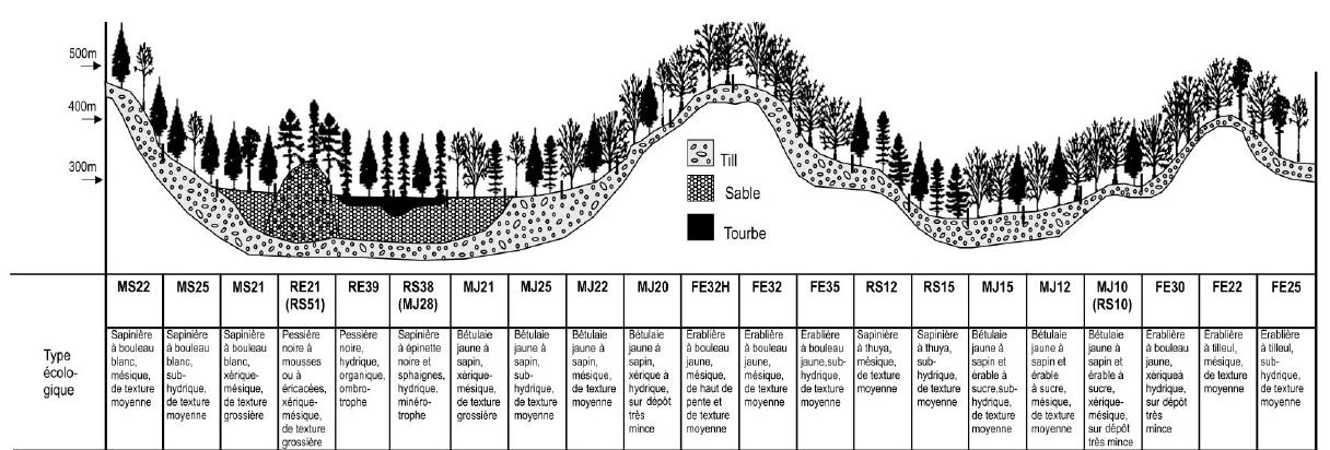 Sère physiographique de la sous-région écologique 3c-T (Hautes collines de Val-David et lac Mékinac)